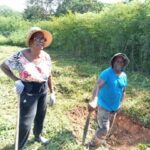 Les élus procèdent au nettoyage du jardin de l’ancien CFA