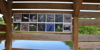 Construction d’une base d’observation ornithologique sur les étangs de Ravine sable