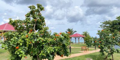 Construction d’un parc de loisir en bord de mer​
