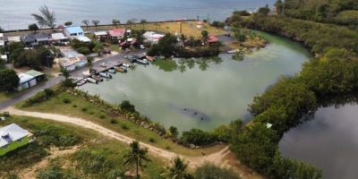 site ornithologique - Anse-Bertrand